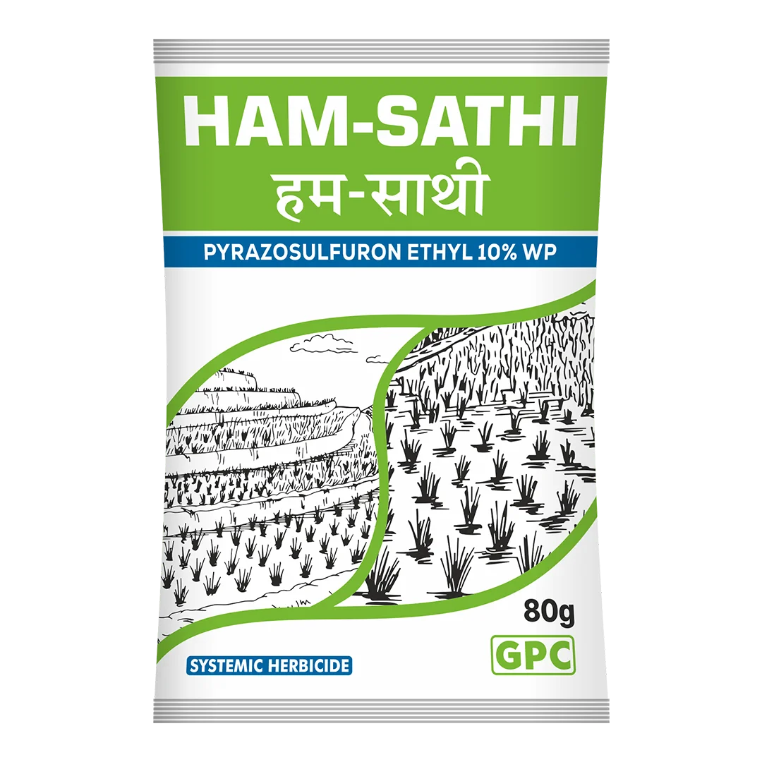 HAM-SATHI 80GM